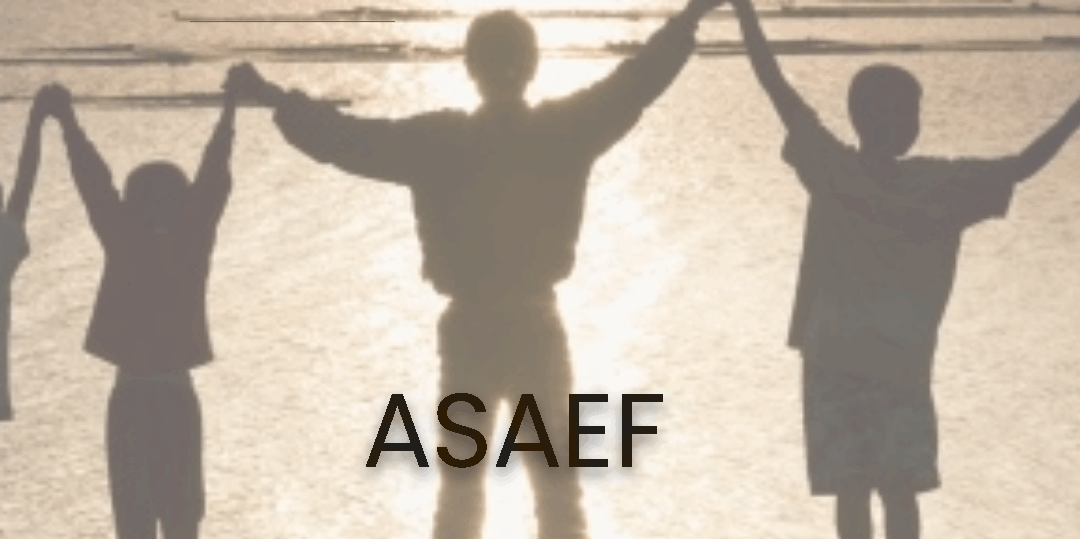 ASAEF (action et soutien ambulatoire à l’enfance et à la famille)