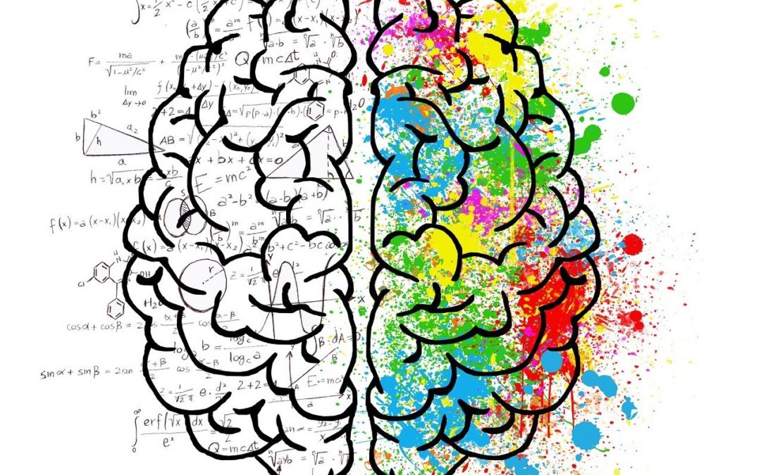 HPI (haut potentiel intellectuel)