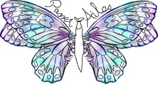 Classe Passer’ailes 1